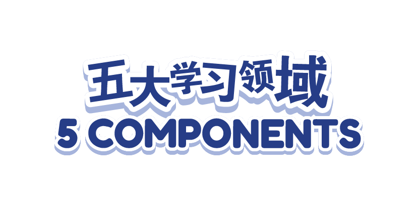 5 Components